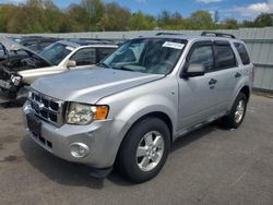 Salvage cars for sale from Copart Assonet, MA: 2010 Ford Escape XLT