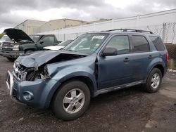Salvage cars for sale from Copart New Britain, CT: 2012 Ford Escape XLT