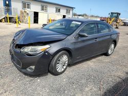 Salvage cars for sale from Copart Kapolei, HI: 2014 Toyota Avalon Hybrid