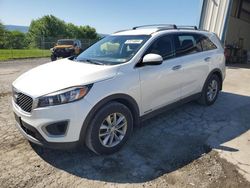 Salvage cars for sale at Chambersburg, PA auction: 2017 KIA Sorento LX