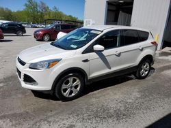 Salvage cars for sale from Copart Albany, NY: 2015 Ford Escape SE