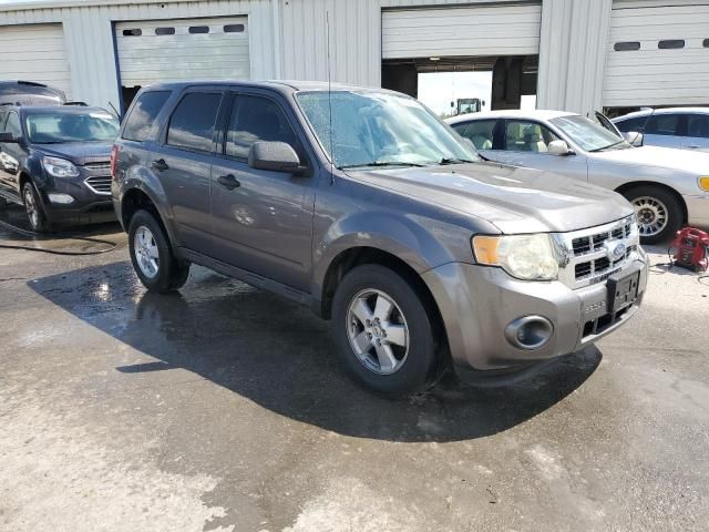 2011 Ford Escape XLS