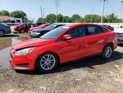 Vehiculos salvage en venta de Copart Columbus, OH: 2016 Ford Focus SE