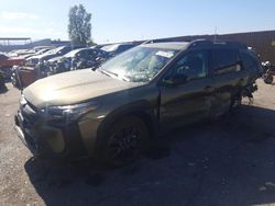 Salvage cars for sale at North Las Vegas, NV auction: 2024 Subaru Outback Onyx Edition