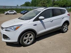 Vehiculos salvage en venta de Copart Davison, MI: 2014 Ford Escape SE