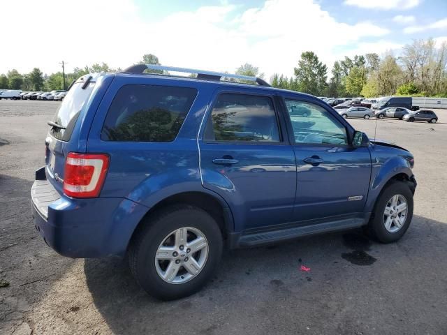 2008 Ford Escape HEV