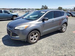 Salvage cars for sale at Antelope, CA auction: 2014 Ford Escape SE