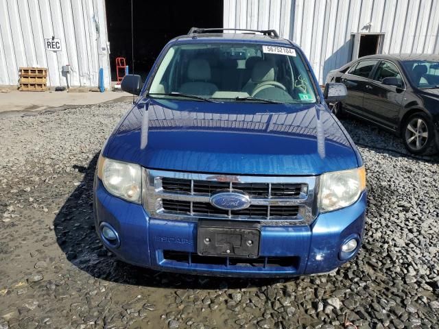 2008 Ford Escape XLT