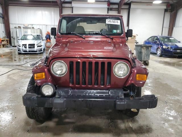 2002 Jeep Wrangler / TJ X