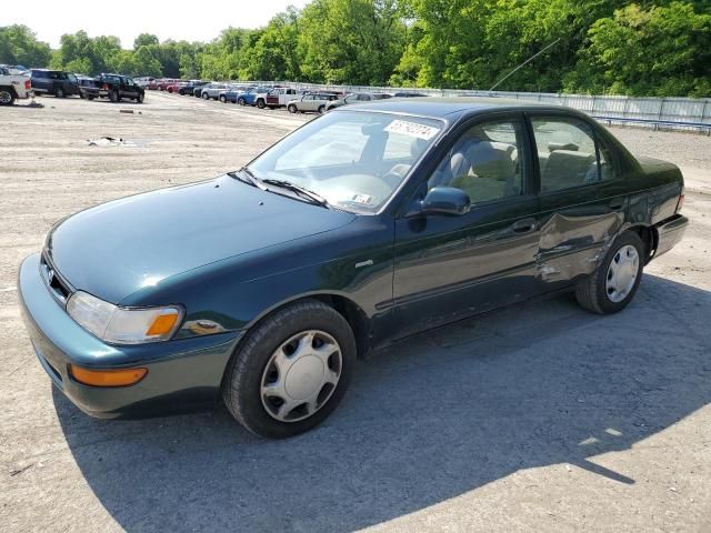 1997 Toyota Corolla DX