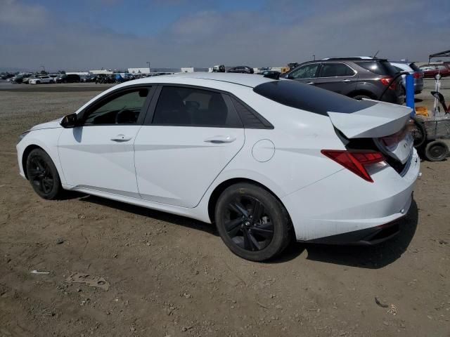 2023 Hyundai Elantra Blue