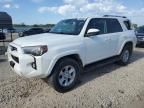 2021 Toyota 4runner SR5/SR5 Premium