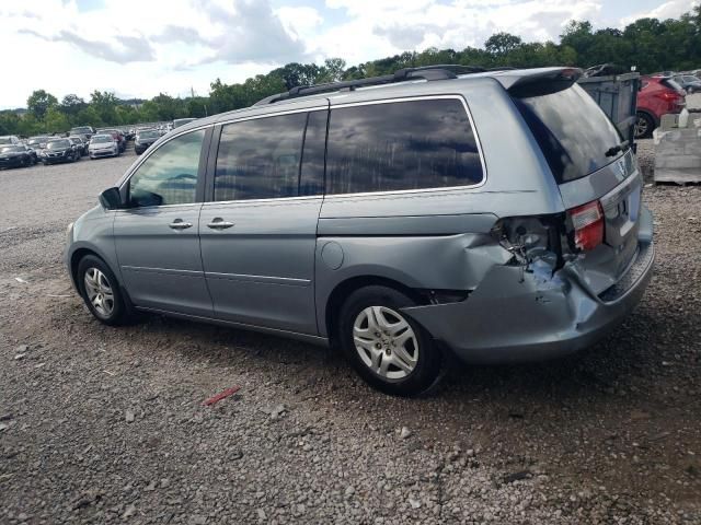 2005 Honda Odyssey EXL