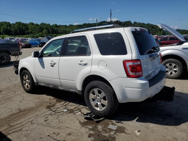 2010 Ford Escape Limited