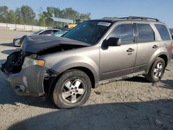 Salvage cars for sale at Spartanburg, SC auction: 2010 Ford Escape XLT