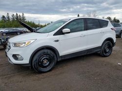 Salvage cars for sale from Copart Bowmanville, ON: 2017 Ford Escape SE