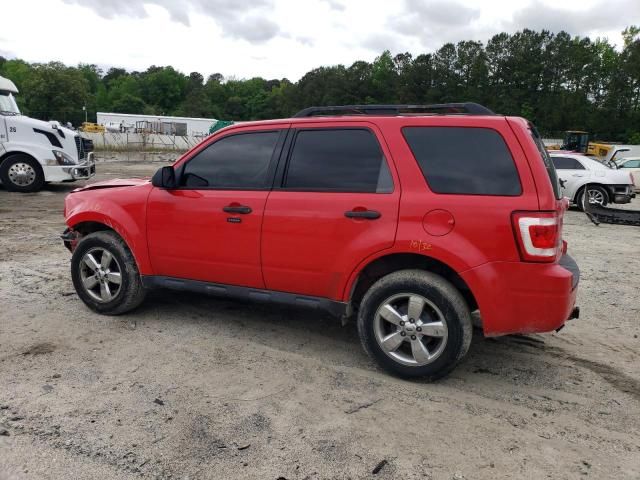 2009 Ford Escape XLT