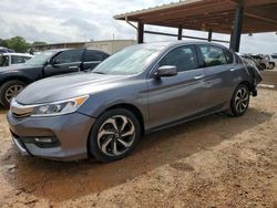 Honda Accord exl salvage cars for sale: 2017 Honda Accord EXL