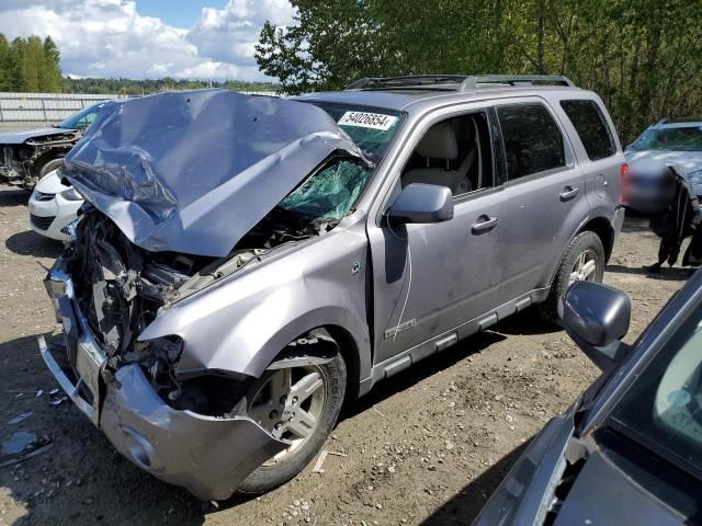 2008 Ford Escape HEV