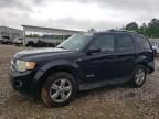 2008 Ford Escape Limited