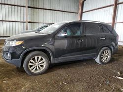 KIA salvage cars for sale: 2011 KIA Sorento Base