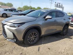 2024 Lexus NX 350H Base for sale in Columbus, OH