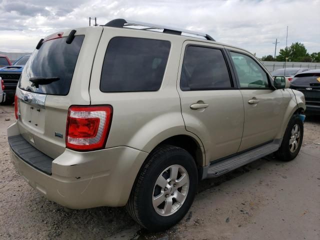 2011 Ford Escape Limited