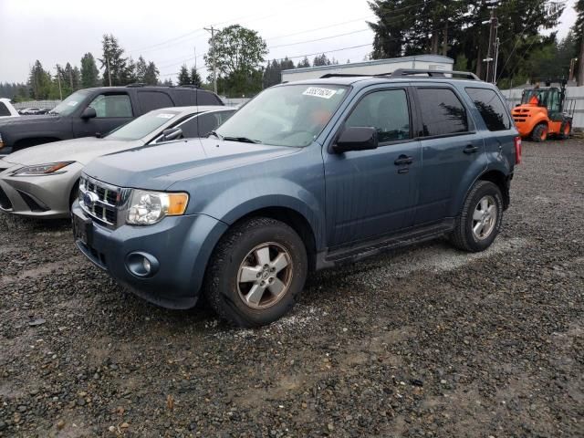 2011 Ford Escape XLT