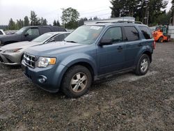 Ford Escape xlt salvage cars for sale: 2011 Ford Escape XLT