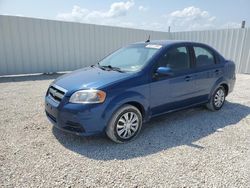 Salvage cars for sale at Arcadia, FL auction: 2010 Chevrolet Aveo LS