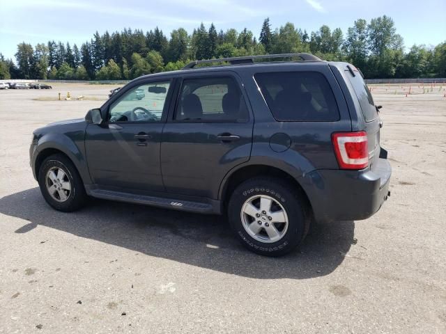 2009 Ford Escape XLT