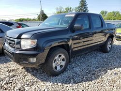 Salvage cars for sale from Copart Columbus, OH: 2011 Honda Ridgeline RT