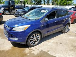 Salvage cars for sale at Bridgeton, MO auction: 2014 Ford Escape SE