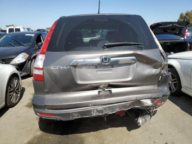 2010 Honda CR-V EXL