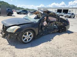 Salvage cars for sale at Gaston, SC auction: 2004 Nissan Maxima SE