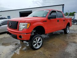 Salvage cars for sale from Copart Shreveport, LA: 2013 Ford F150 Supercrew