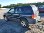 2007 Ford Escape XLT