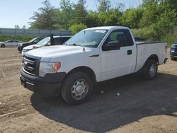 Salvage trucks for sale at Davison, MI auction: 2014 Ford F150