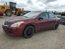 Salvage cars for sale from Copart Houston, TX: 2011 Nissan Altima Base