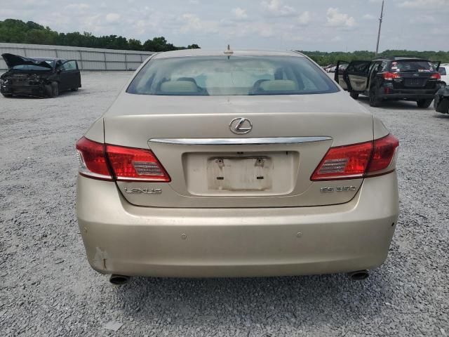 2010 Lexus ES 350