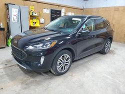 Ford Escape sel salvage cars for sale: 2022 Ford Escape SEL