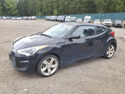 Salvage cars for sale from Copart Graham, WA: 2013 Hyundai Veloster