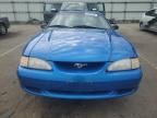 1998 Ford Mustang GT