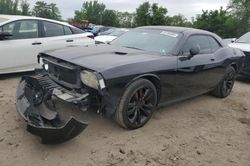 Salvage cars for sale at Baltimore, MD auction: 2010 Dodge Challenger R/T
