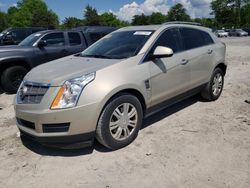 Salvage cars for sale at Madisonville, TN auction: 2010 Cadillac SRX Luxury Collection