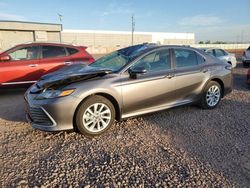 Salvage cars for sale at Phoenix, AZ auction: 2024 Toyota Camry LE