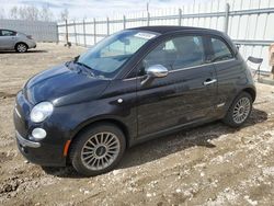 Salvage cars for sale at Nisku, AB auction: 2013 Fiat 500 Lounge