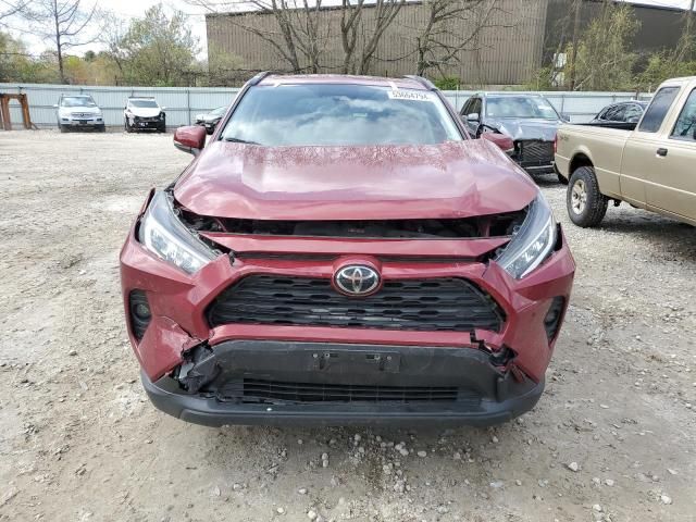 2019 Toyota Rav4 XLE Premium