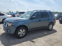 Salvage cars for sale at Indianapolis, IN auction: 2010 Ford Escape XLT