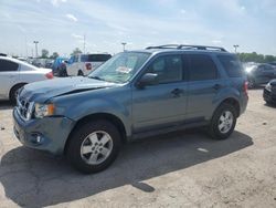 Salvage cars for sale from Copart Indianapolis, IN: 2010 Ford Escape XLT